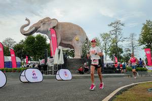 BIB: 
                            <button type="button" onclick="openModal(26528790)" class="btn btn-primary btn-sm float-right btn-popup" data-toggle="modal" data-target=".modal-high-quality">
                        <i class="fas fa-shopping-cart"></i> Add to Cart
                    </button>
                                            <button type="button" onclick="isThisMe(26528790, true)" class="btn btn-success btn-sm float-right btn-popup btn-isme hidden" data-toggle="tooltip" data-placement="bottom" title="นี่คือรูปของคุณใช่ไหม คลิกที่นี่เพื่อเอาเข้าอัลบั้ม">
                        <i class="fas fa-plus"></i> Add to album
                    </button>
                    <button type="button" onclick="isThisMe(26528790, false)" class="btn btn-warning btn-sm float-right btn-popup btn-isnotme hidden">
                        <i class="fas fa-ban"></i> Remove from album
                    </button>